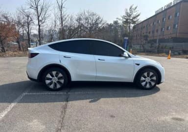 Model Y