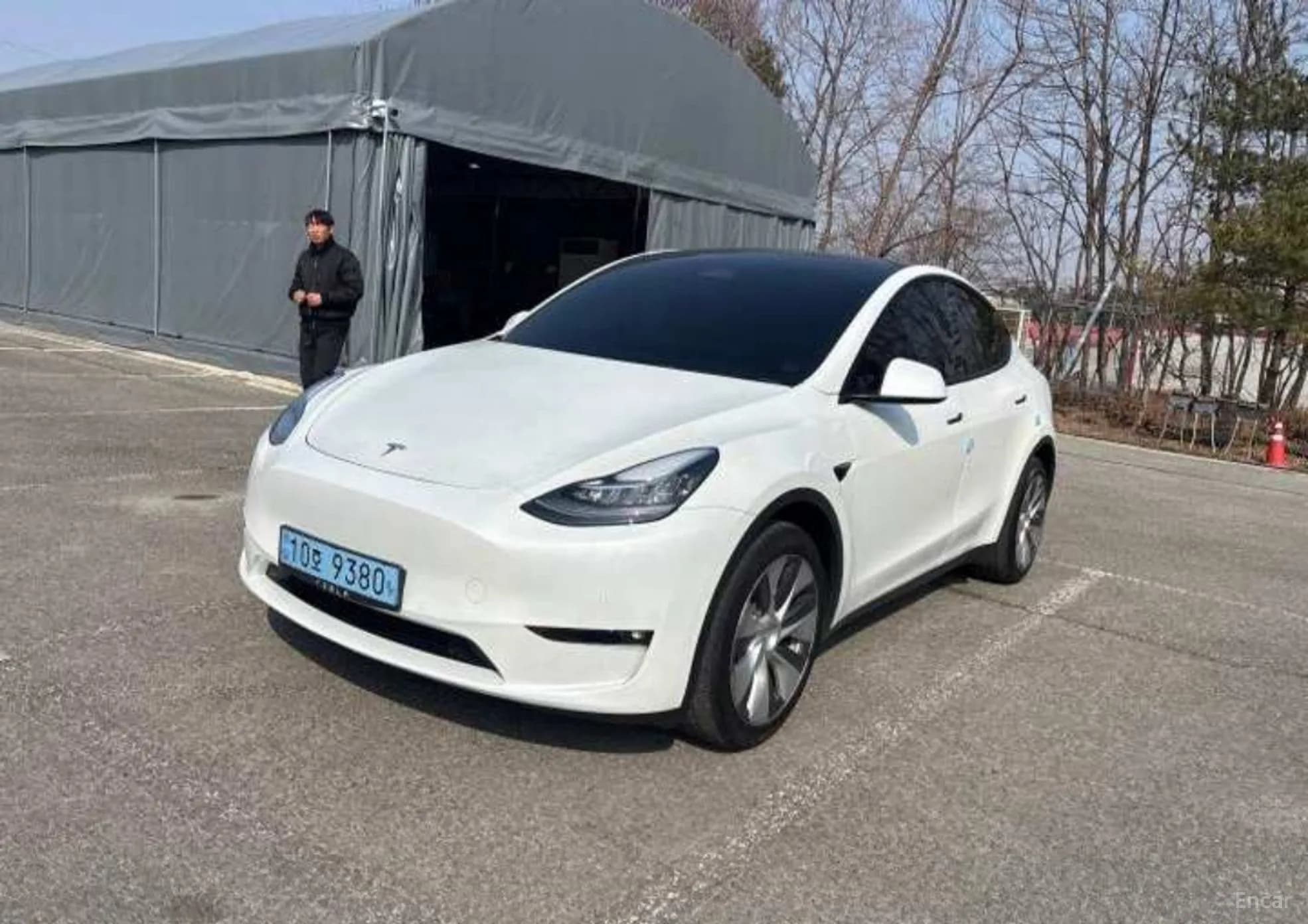 Model Y