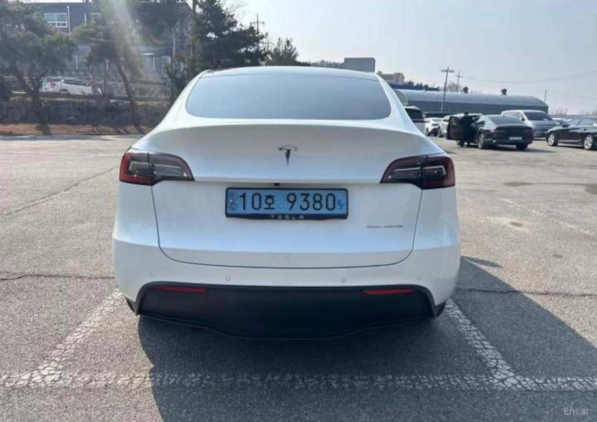Model Y