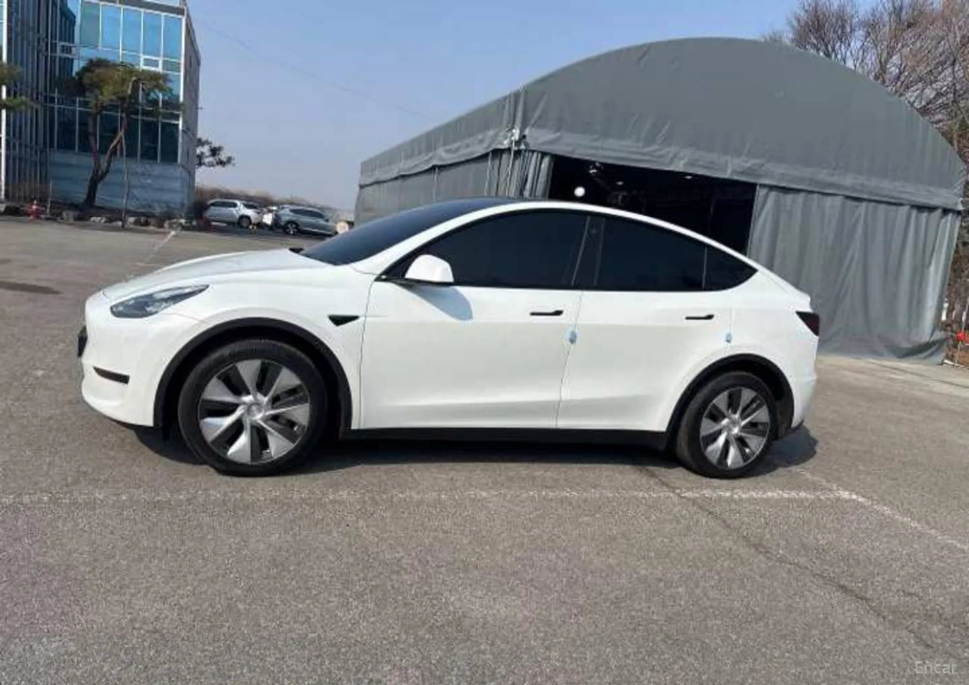 Model Y