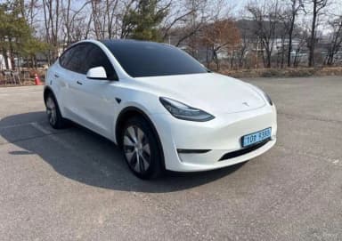 Model Y