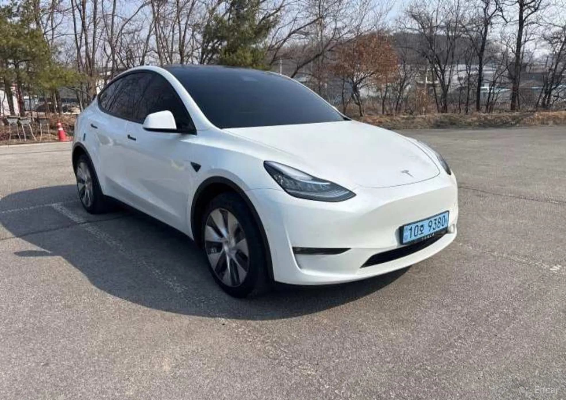 Model Y