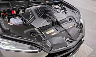 Urus