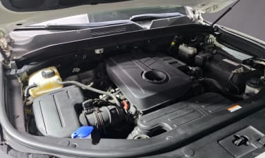 Rexton Sports