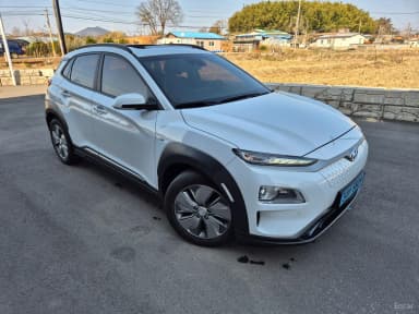 Kona Electric