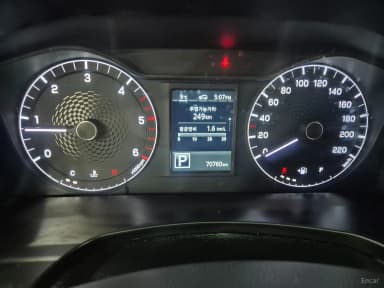Rexton Sports