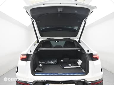 Urus