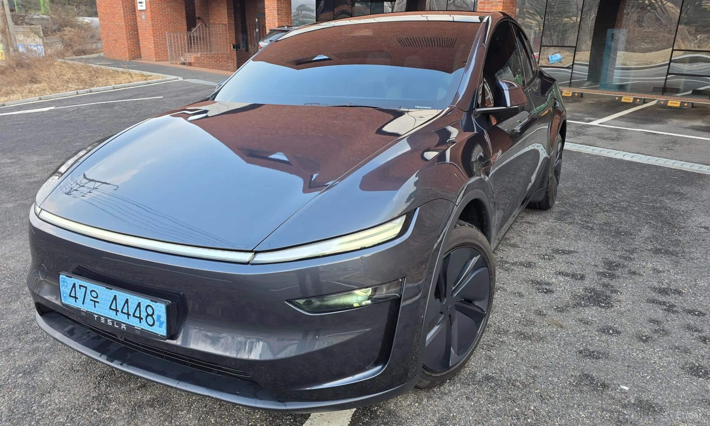 Model Y