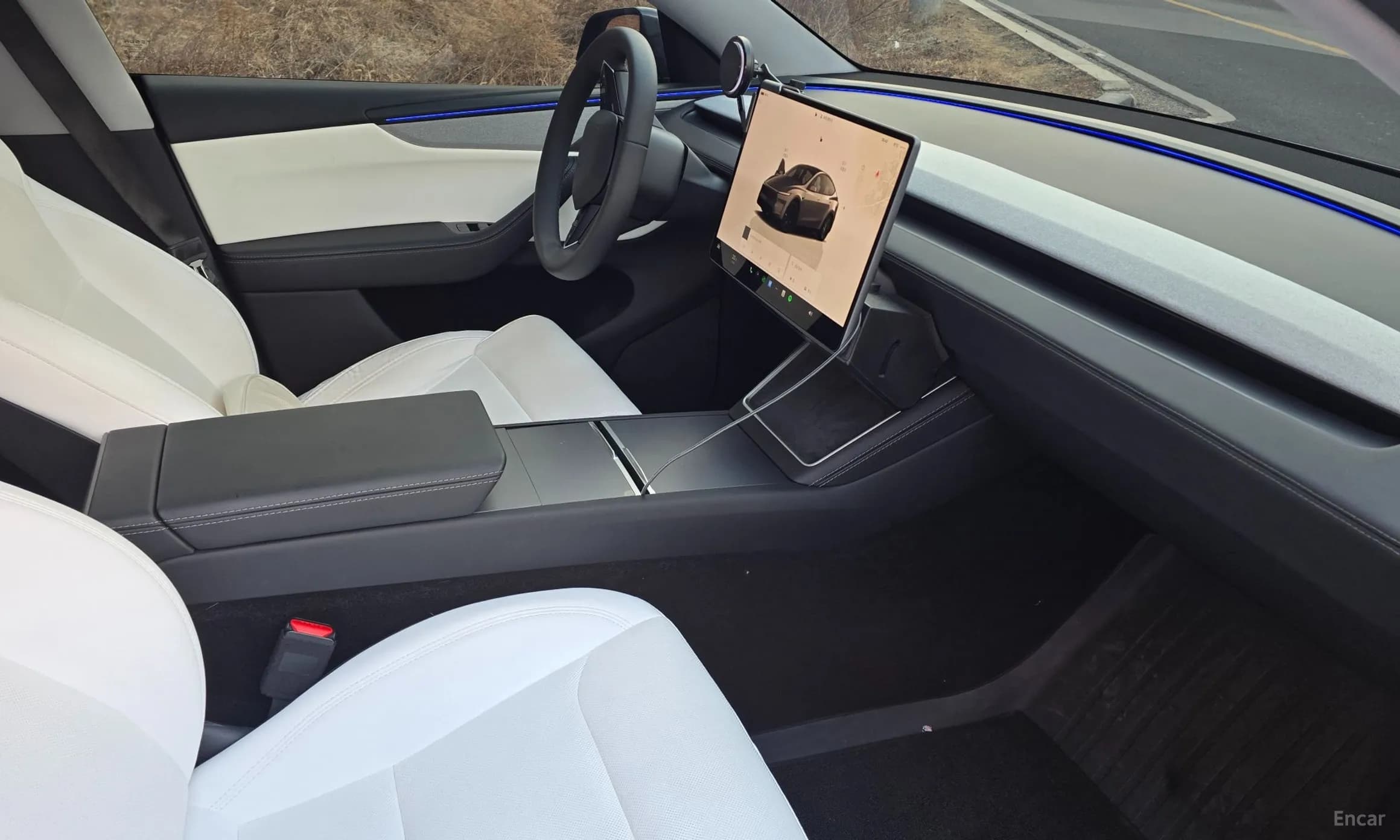 Model Y