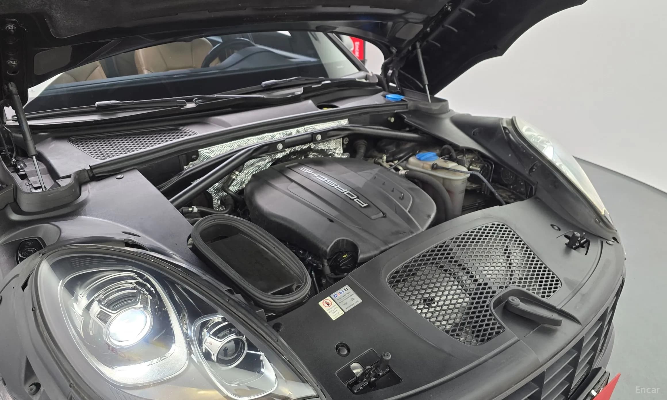 Macan