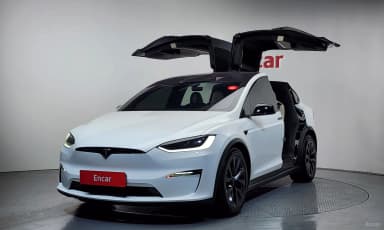 Model X