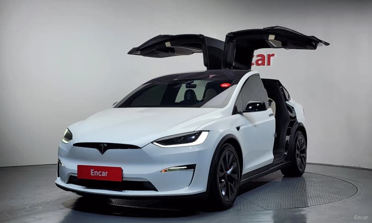 Model X