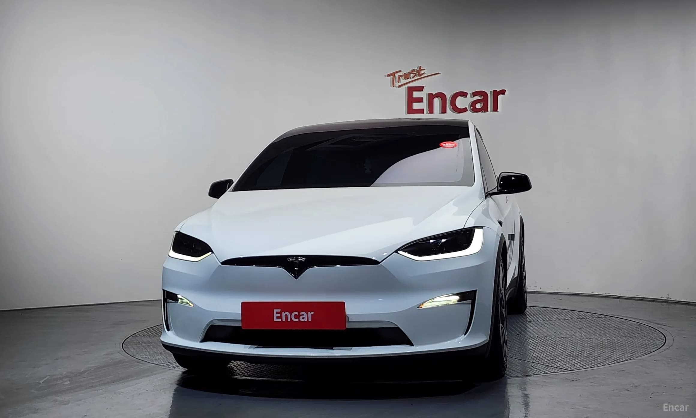 Model X