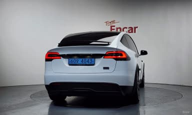 Model X