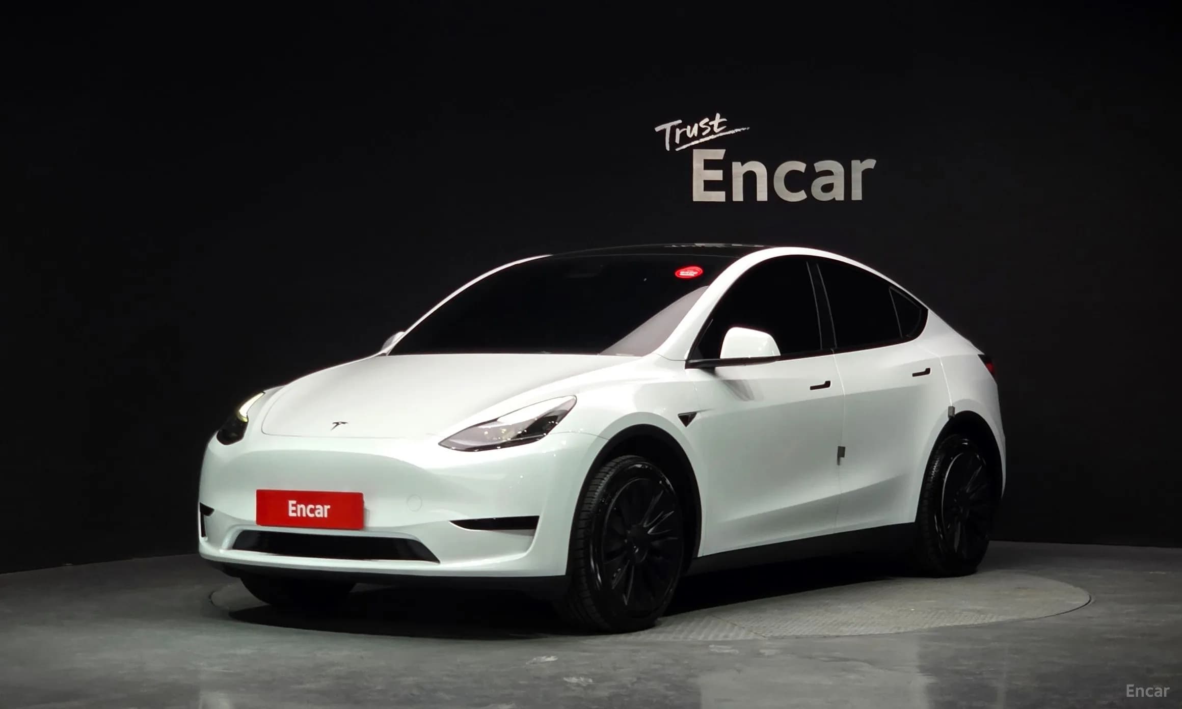 Model Y