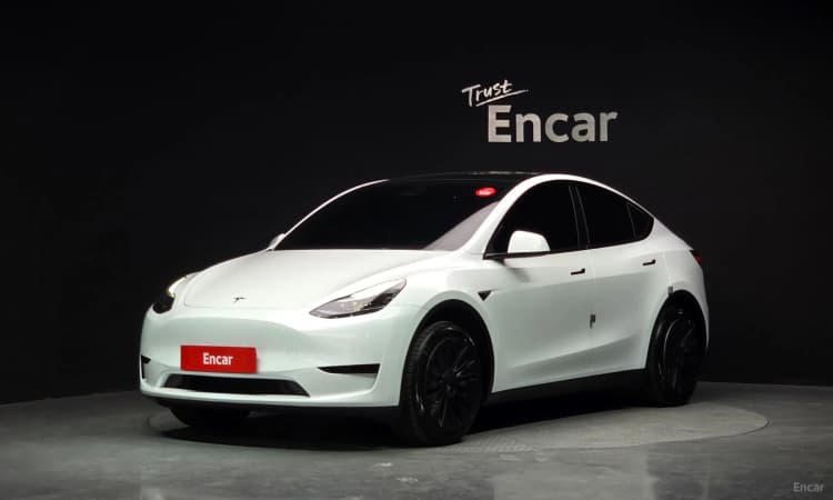 Model Y