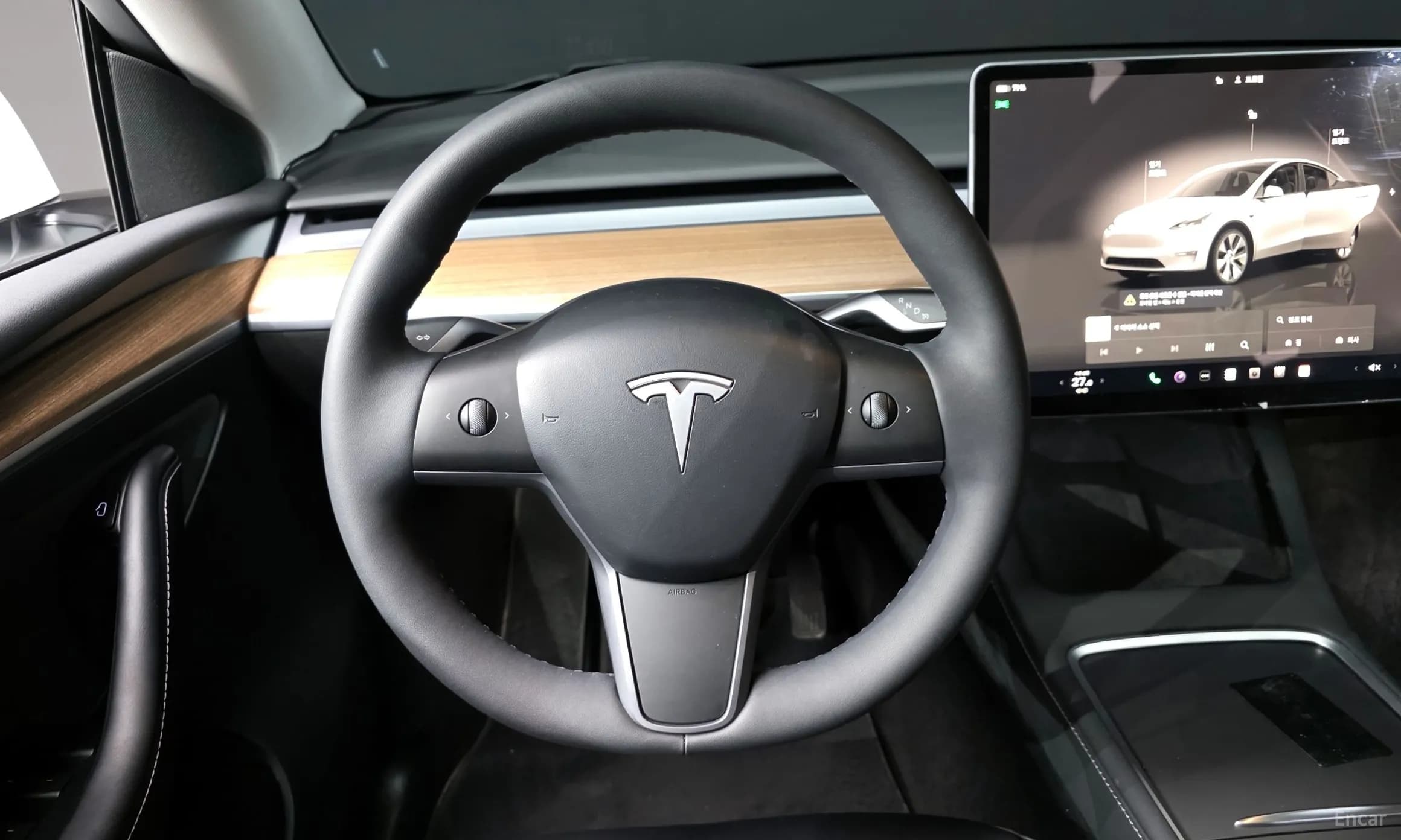 Model Y