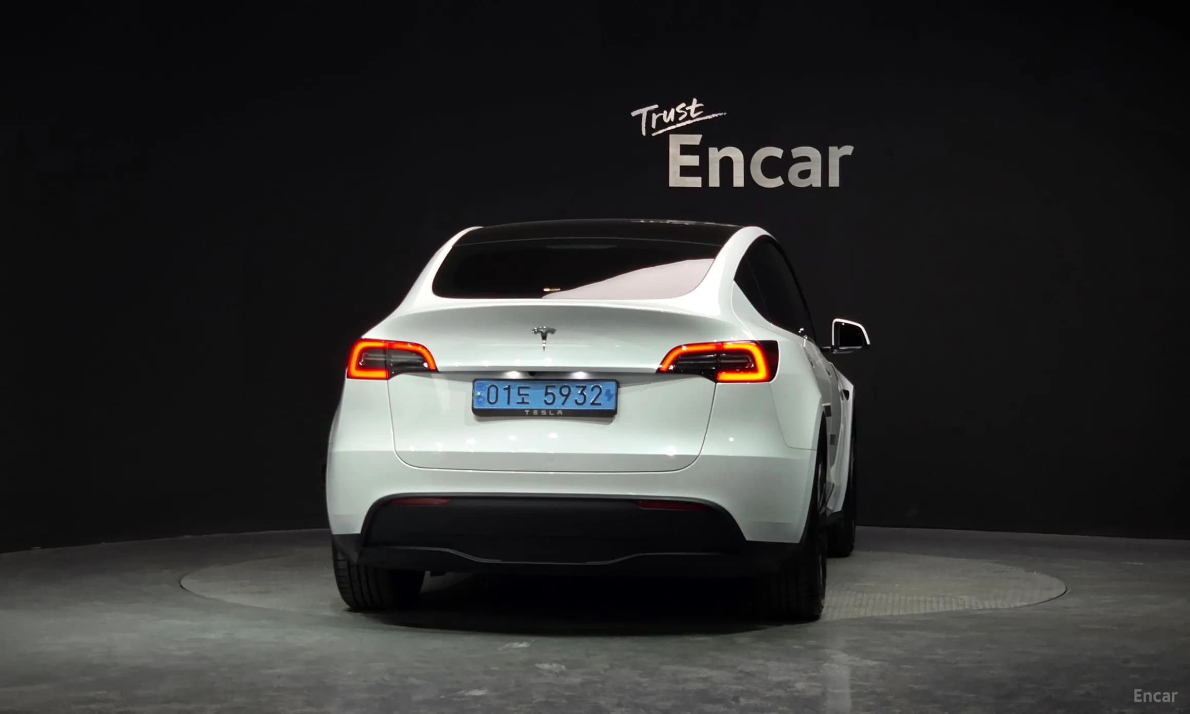 Model Y