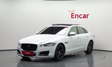 XF (x260)