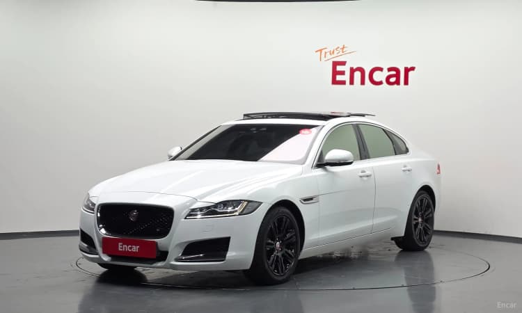 XF (x260)