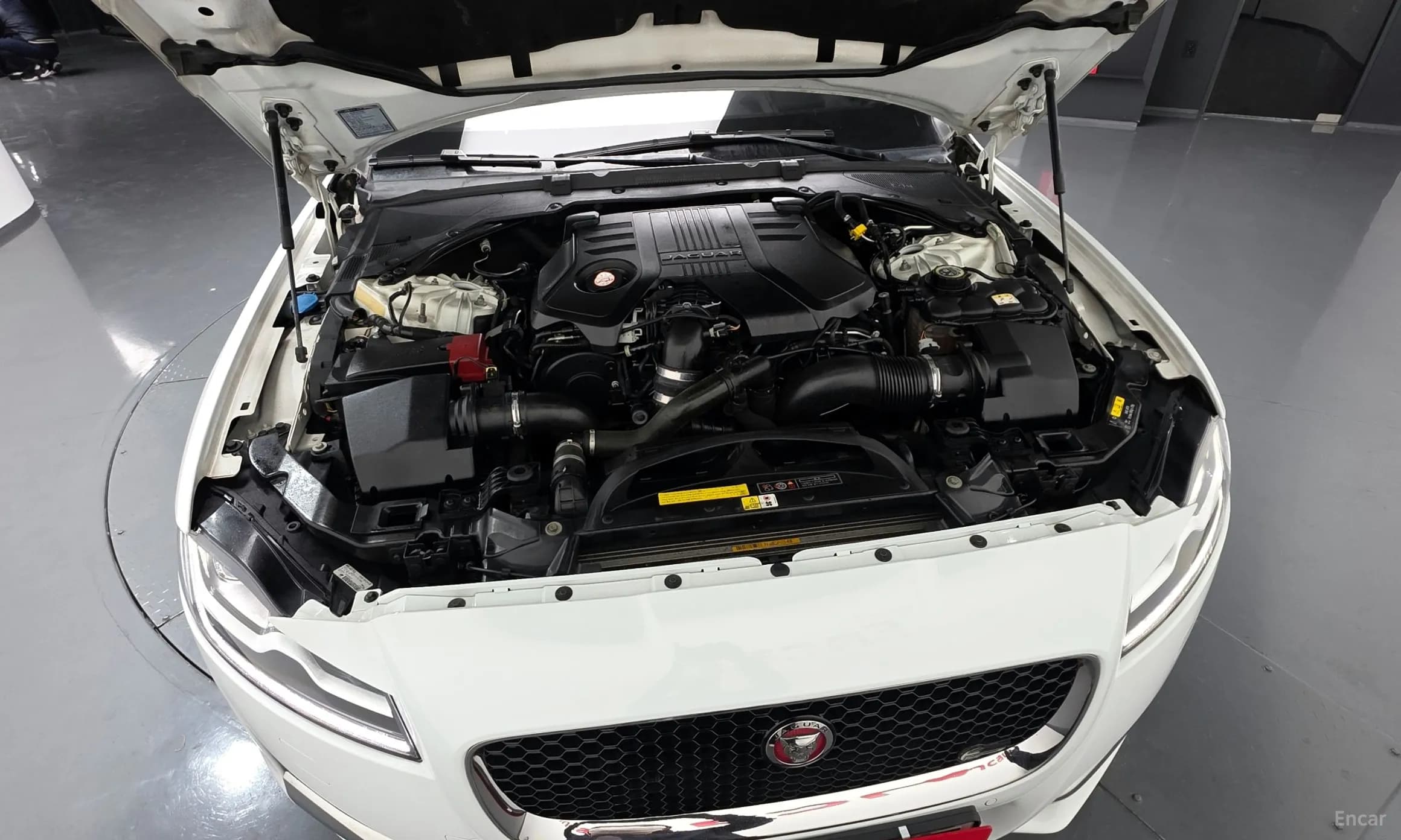 XF (x260)