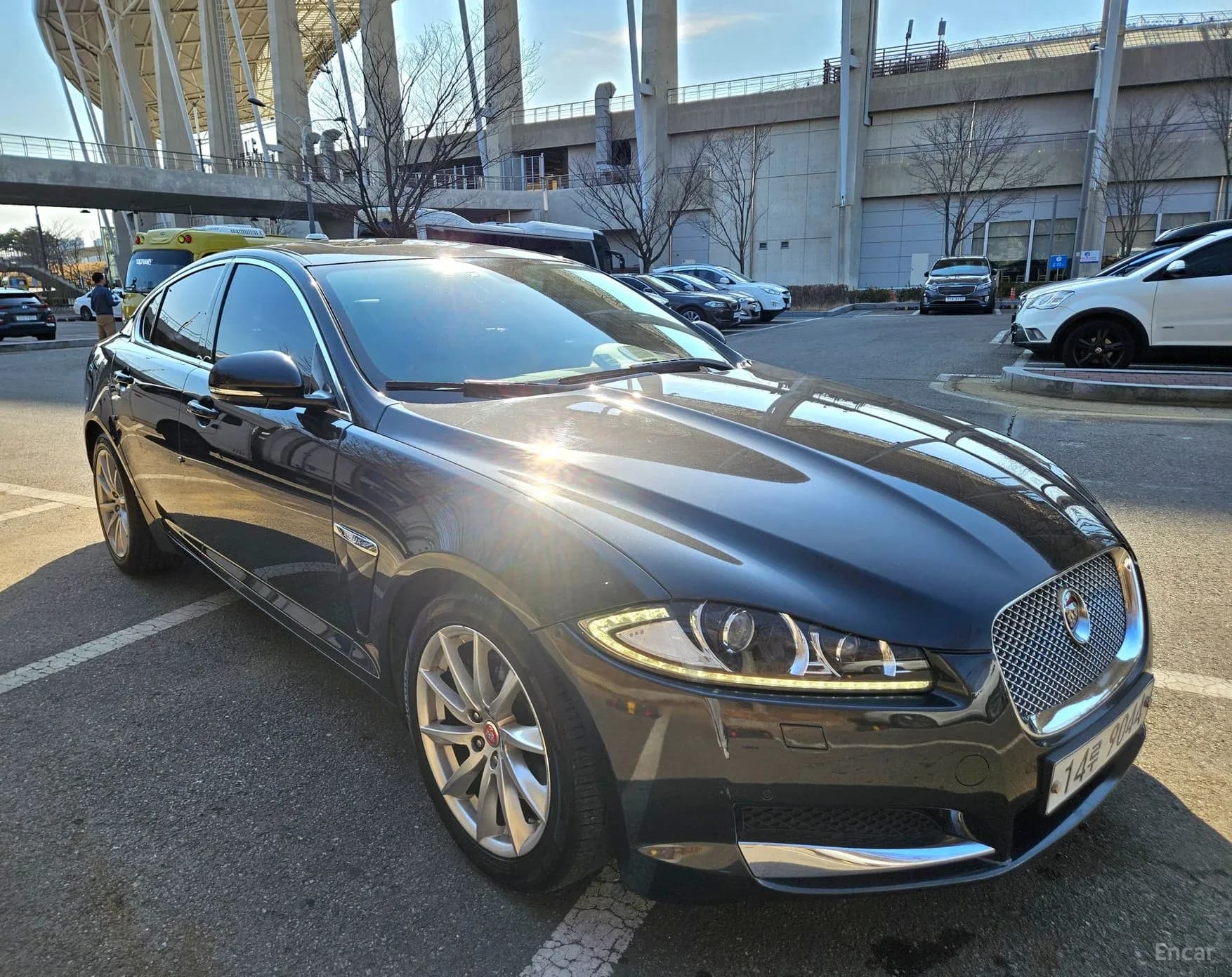 New XF