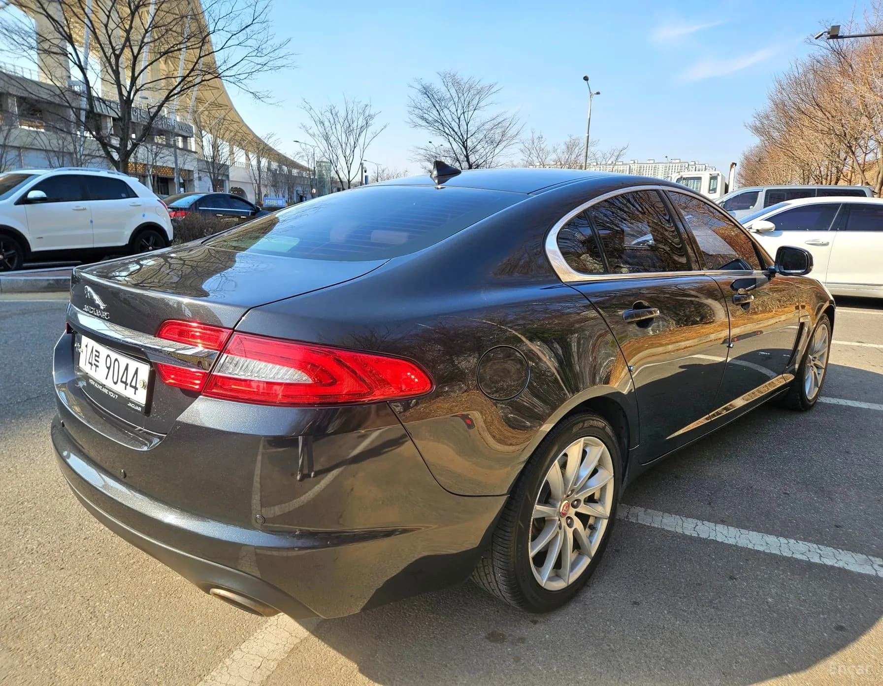 New XF