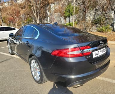New XF