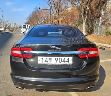 New XF