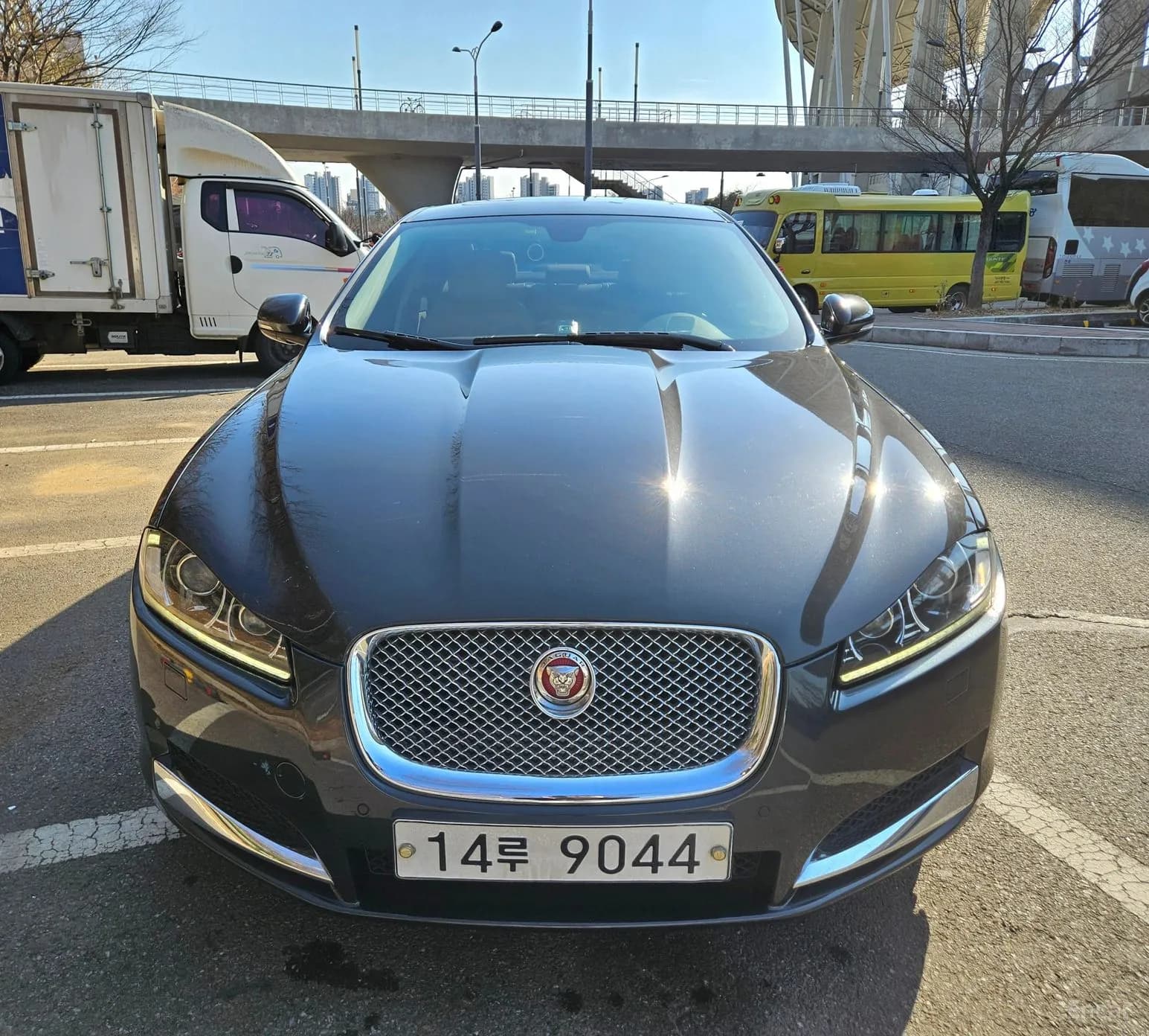 New XF
