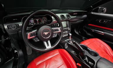 Mustang