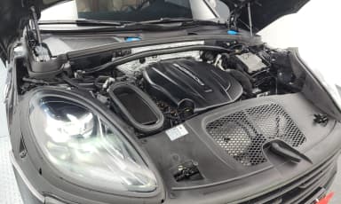 Macan