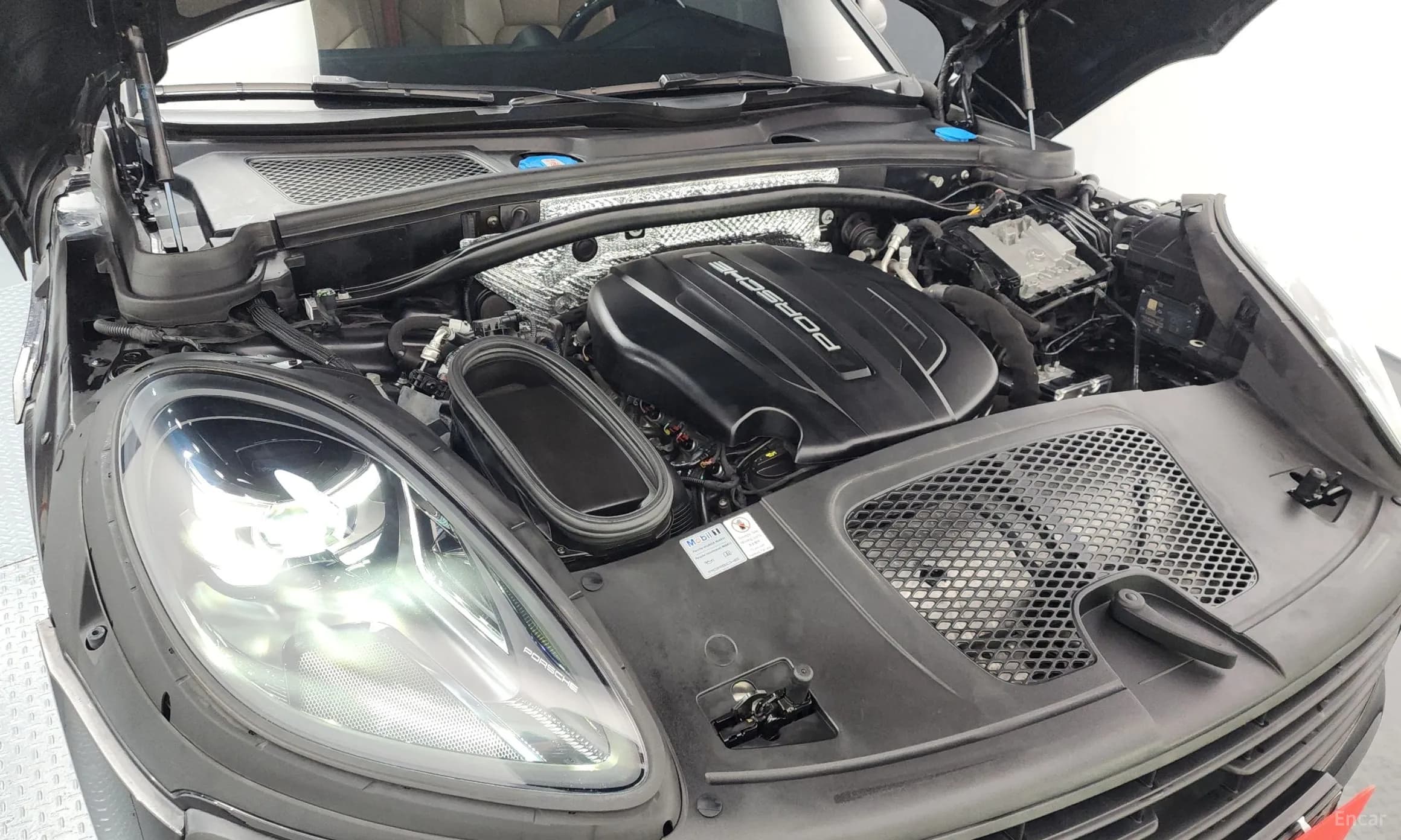 Macan