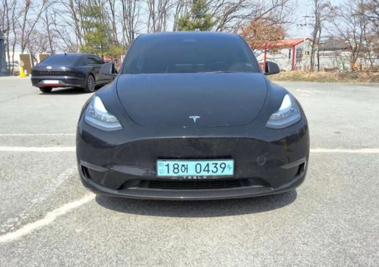 Model Y