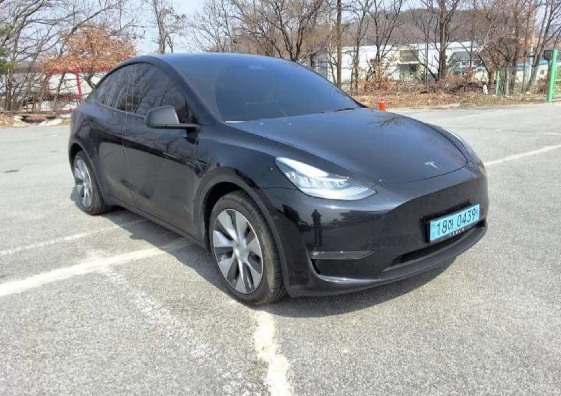 Model Y