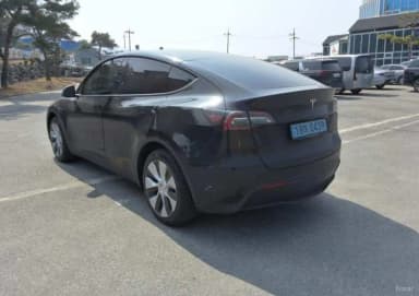 Model Y