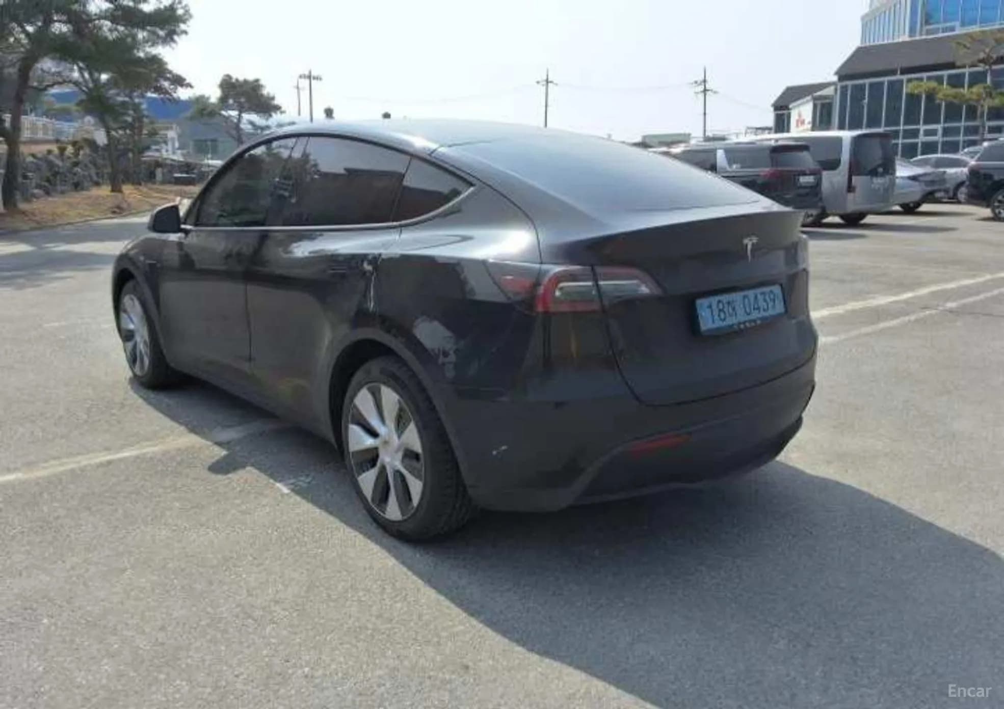 Model Y