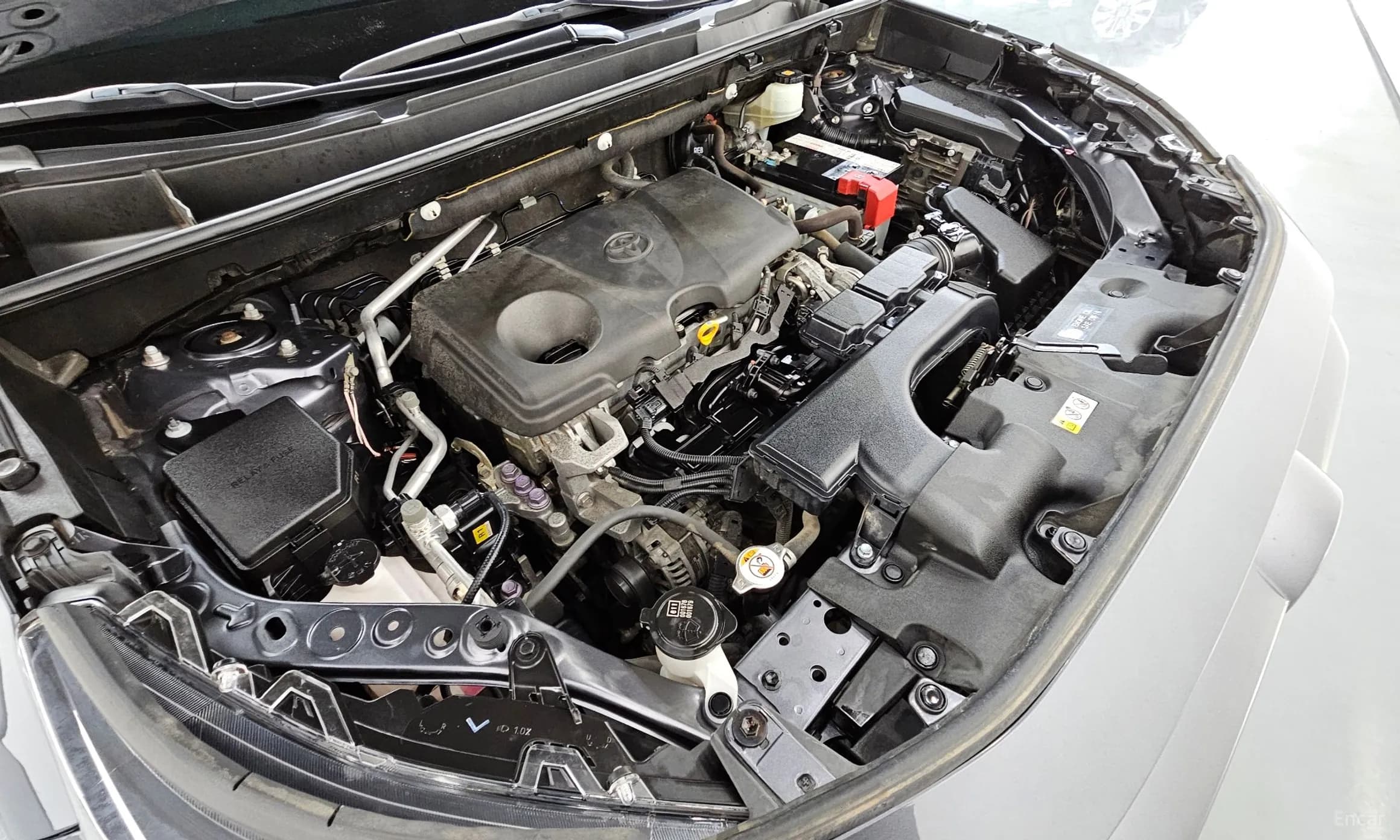RAV4 5th Generation