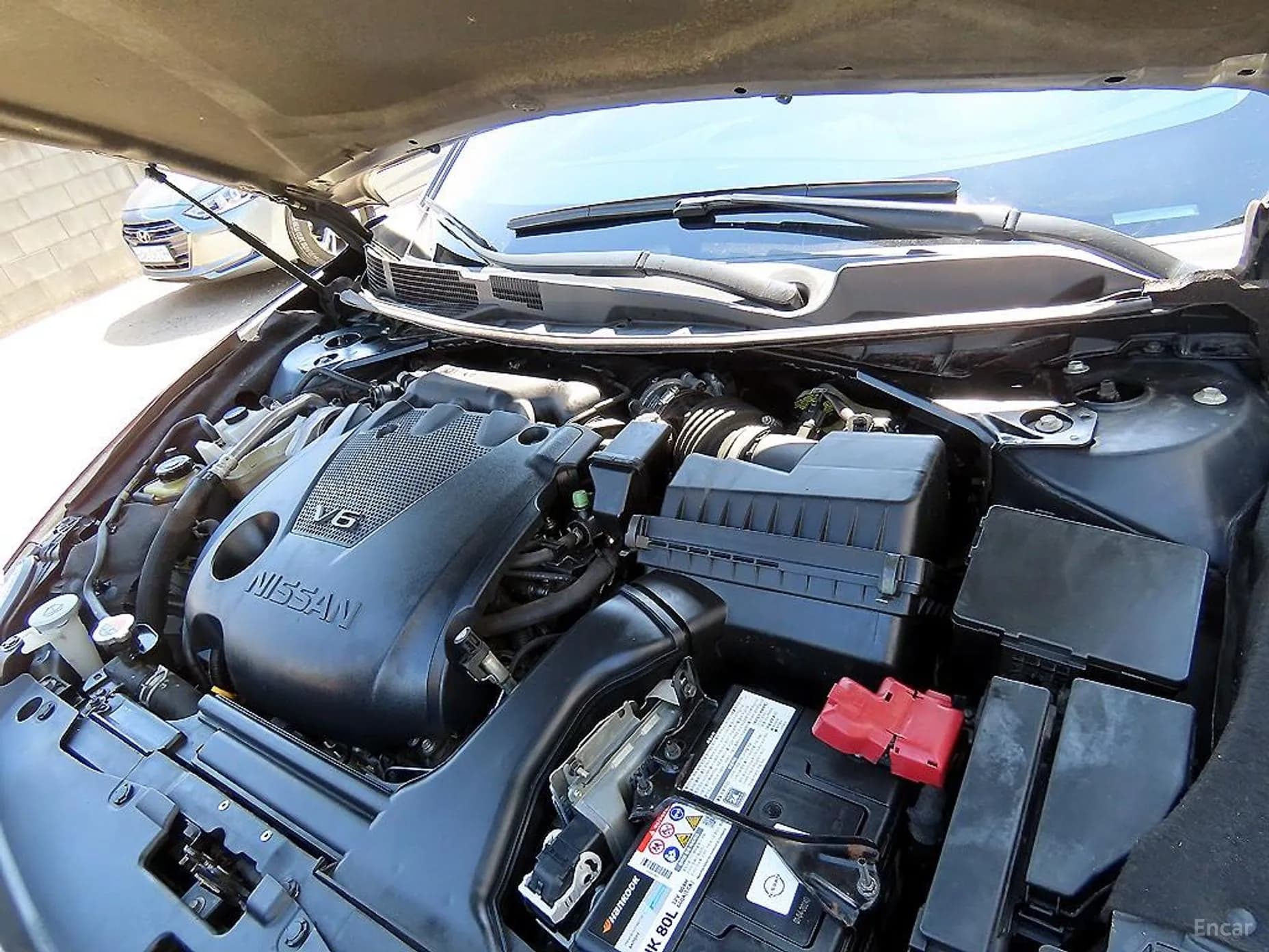 Maxima (A36)