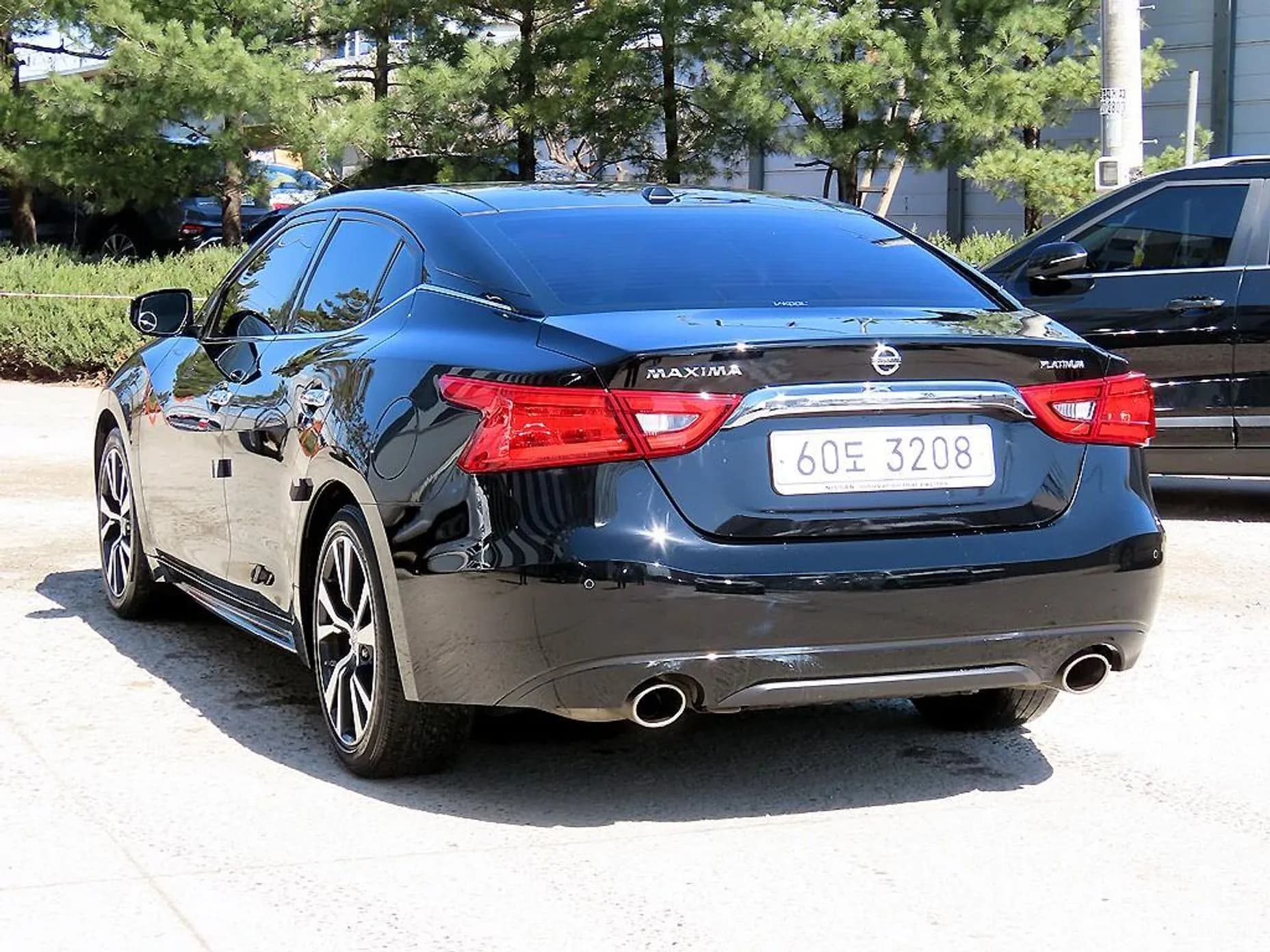 Maxima (A36)