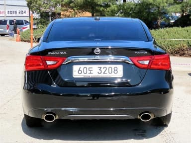 Maxima (A36)