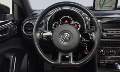The Beetle
