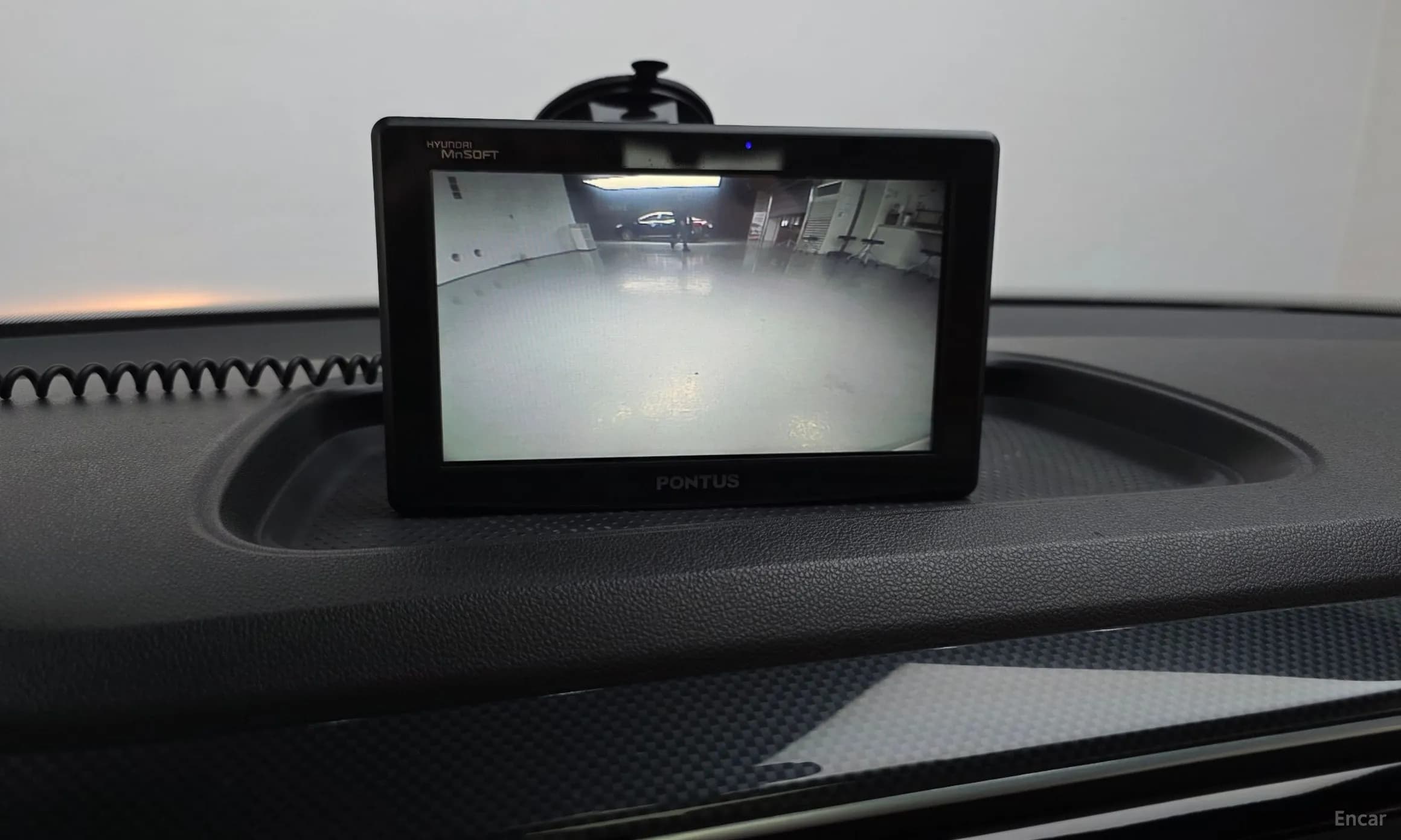 The Beetle