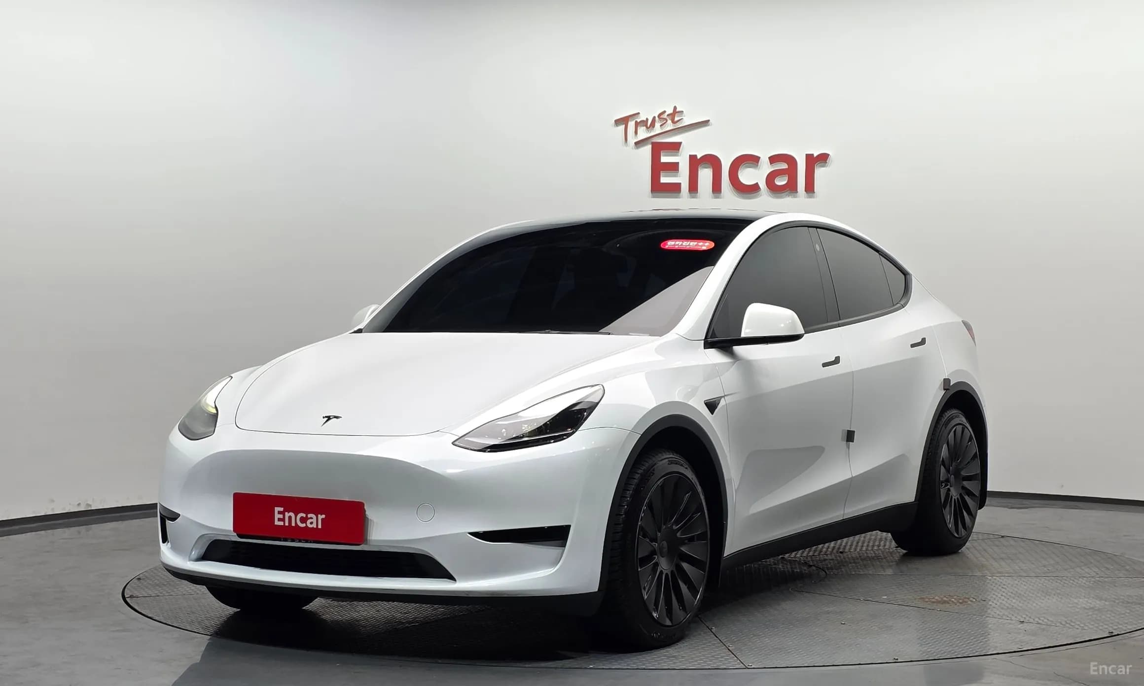 Model Y
