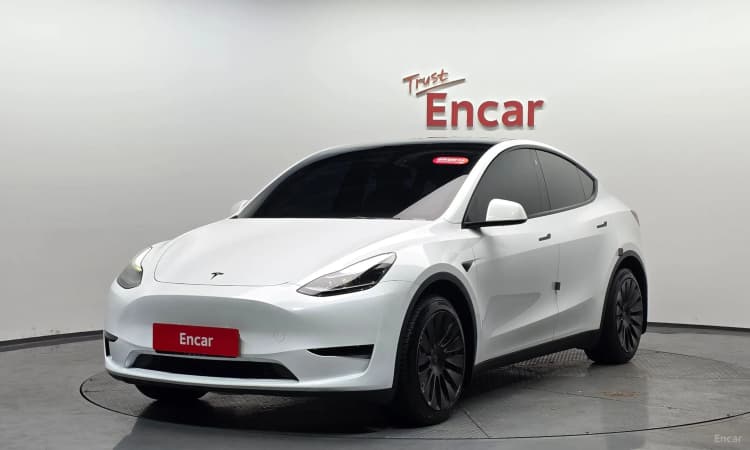 Model Y