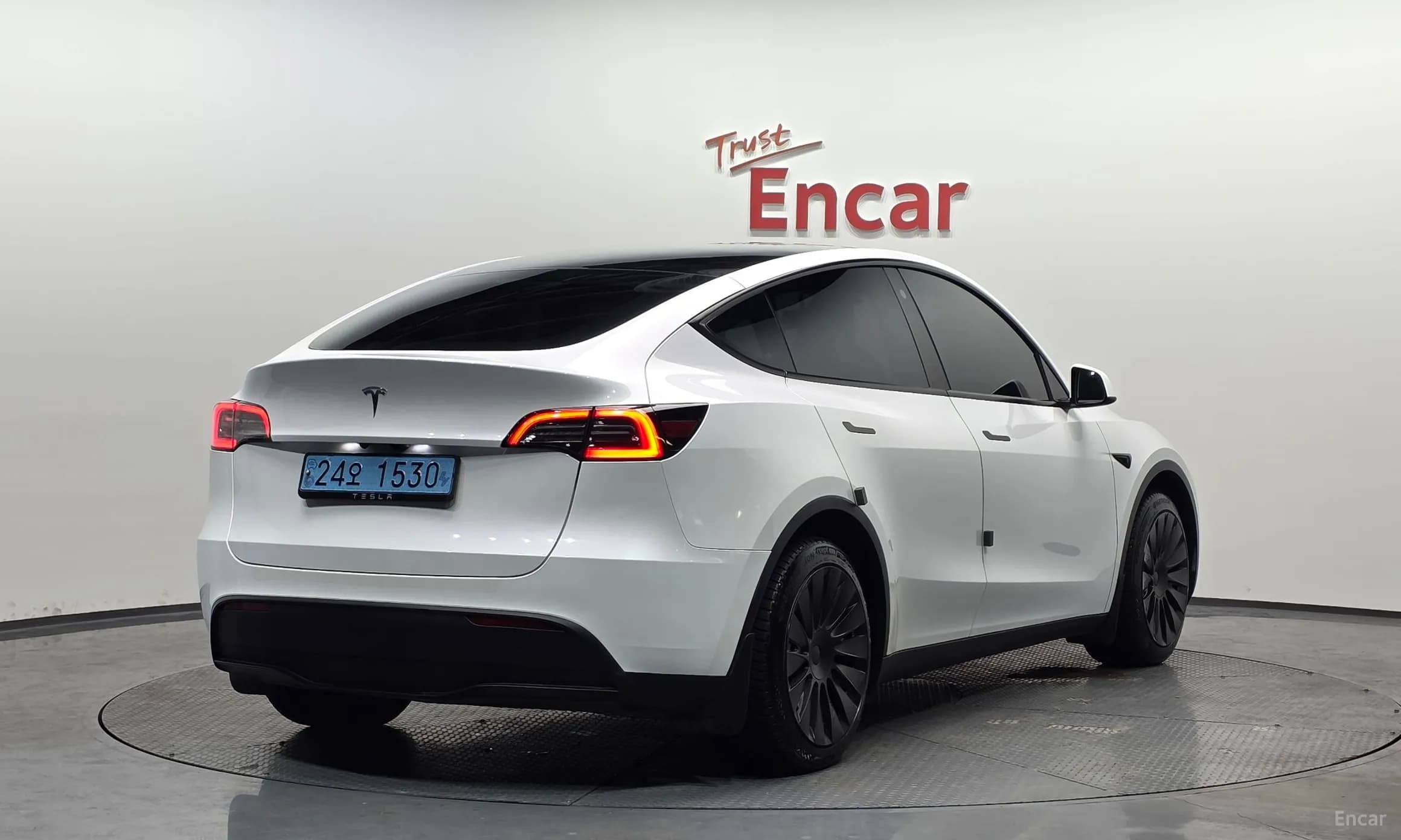 Model Y