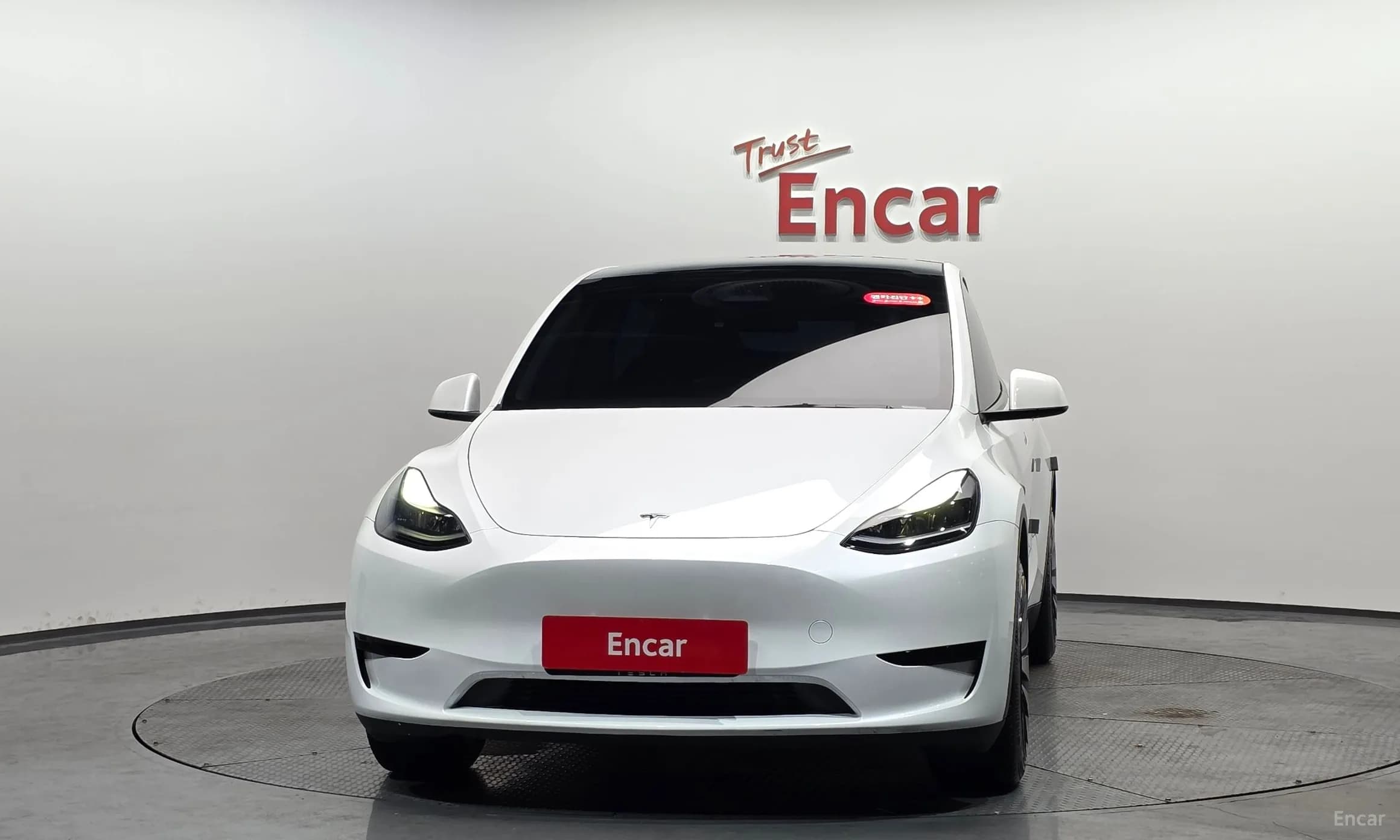 Model Y