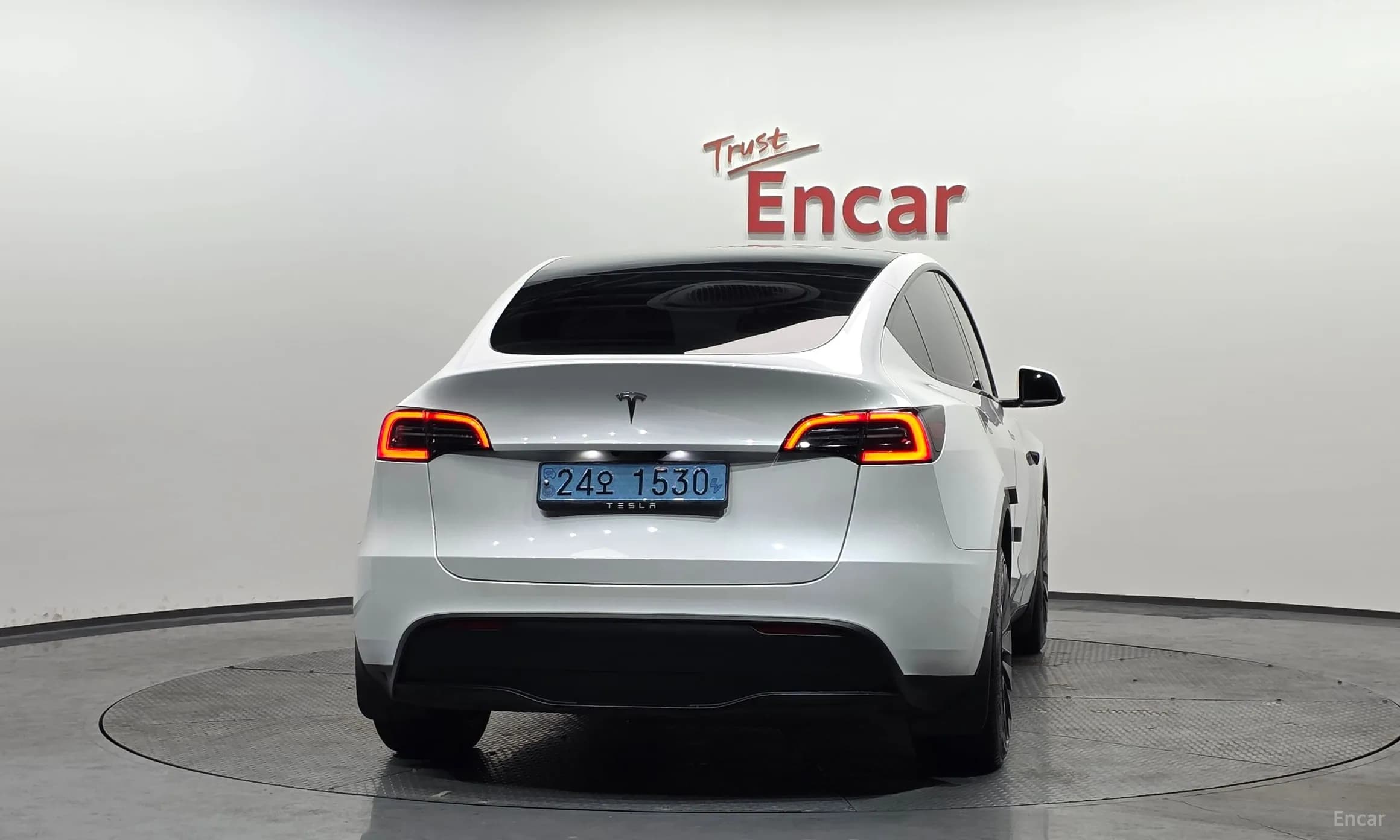 Model Y