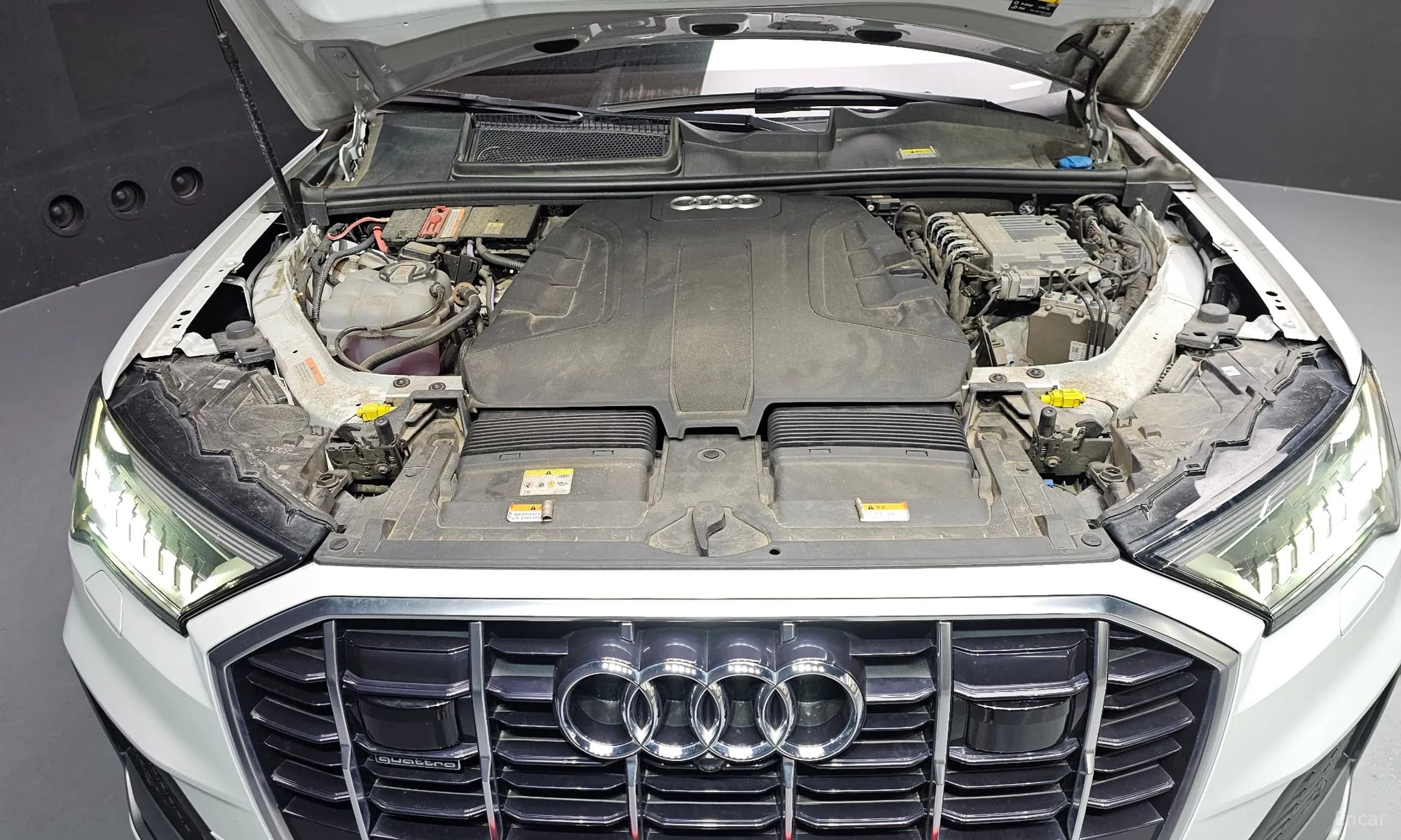Q7 (4M)