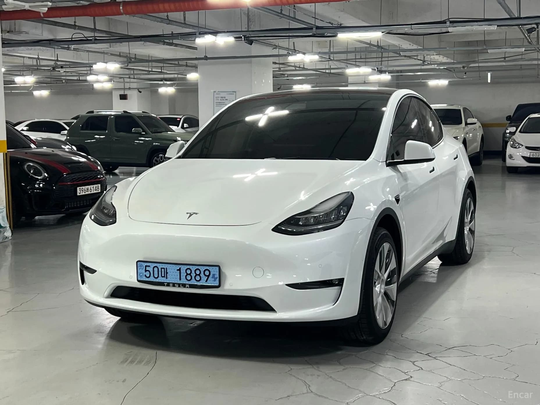 Model Y